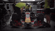 ver formula 1 GIF by Red Bull Racing
