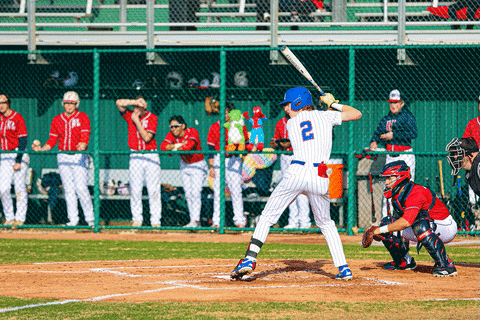 Baseball GIF by TCABB