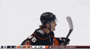 Happy National Hockey League GIF by NHL