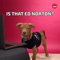 Ed Norton?