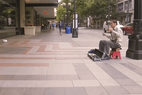 washington seattle GIF