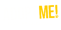 Sticker by PAWS Chicago