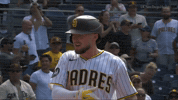 Celebrate San Diego Padres GIF by MLB