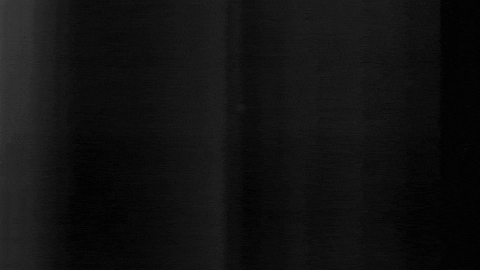 Football Sport GIF by SK Sturm Graz