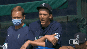 Regular Season Sport GIF by MLB