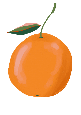 siennasjournal siennasjournal gif orange fruit sticker citrus cute art drawing ig procreate instagram story sticker Sticker
