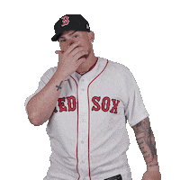 Red Sox Baseball Sticker by Boston Red Sox