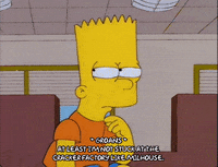 bart simpson episode 20 GIF