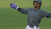 Celebrate New York Mets GIF by MLB