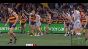 afl celebrate GIF by Adelaide Crows