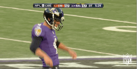 Baltimore Ravens Thread GIF by NFL