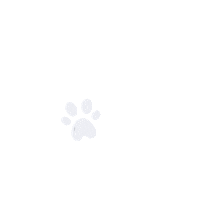 Cat Sticker by Marie Cay