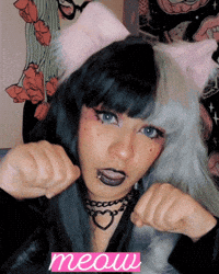 Good Girl Cat GIF