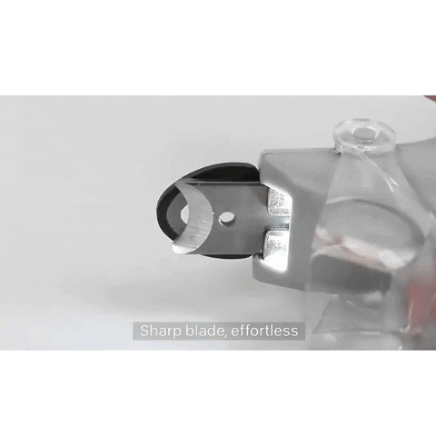 KittyNook giphyupload GIF