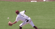 Texas Am Baseball GIF by NCAA Championships