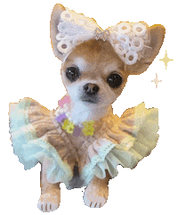 Dog Dress Sticker