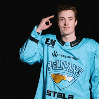 Ice Hockey Celebration GIF by Pelicans Lahti