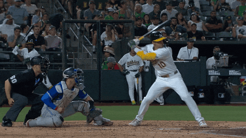 Blue Jays Baseball GIF by Toronto Blue Jays