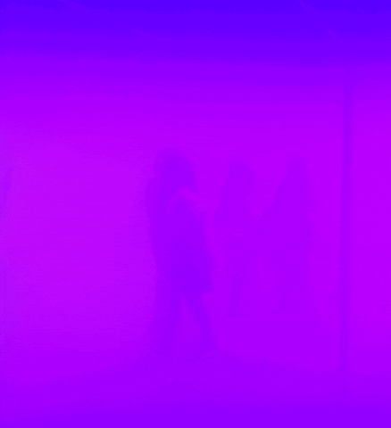 GIF by Trosdene