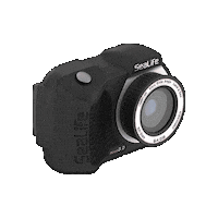 sealifecameras camera diving underwater scubadiving Sticker