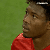 fcbayern football meme soccer mood GIF