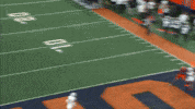Syracuse University Su GIF by TheDreamTeam 