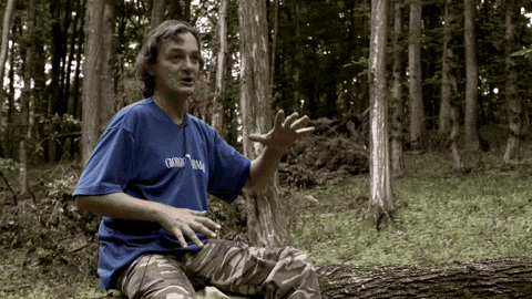 delythra giphycreatortest GIF