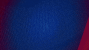 Germany Smile GIF by Holstein Kiel