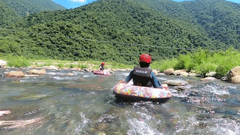 twkafka giphygifmaker GIF