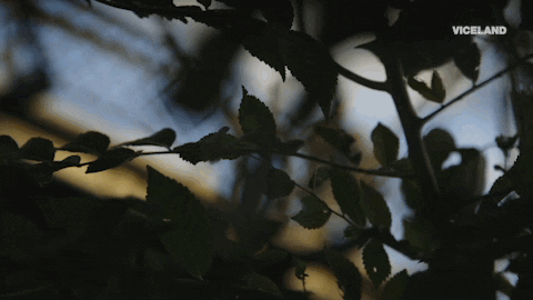 GIF by CYBERWAR