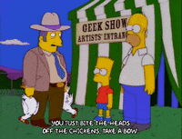 homer simpson GIF