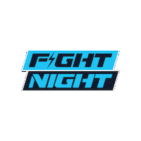 Fight Night Fight Sticker by ONE TWO Boxing