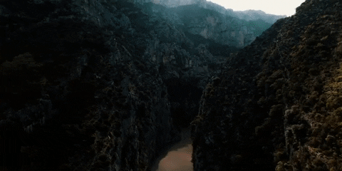 nicolascalmels  GIF