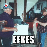 pompe emiel GIF by Omrop Fryslân