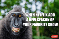 Streaming Services Netflix GIF by Altibox