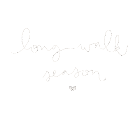 Dog Summer Sticker by VetriScience