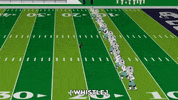 GIF by South Park 