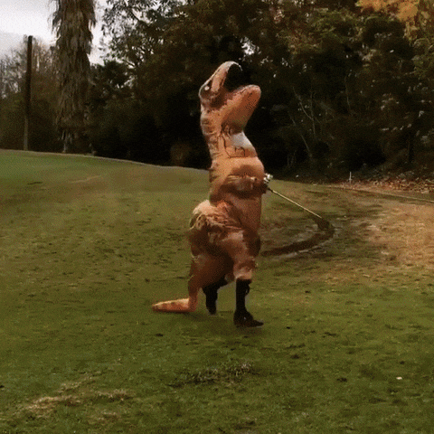Ryder Cup Golf GIF