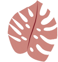 estudiobizu plant monstera dpv estudiobizu Sticker