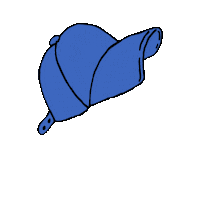 Claires_Stores hat cap claires baseballcap Sticker