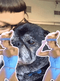 nyframe GIF by GIPHY Frame