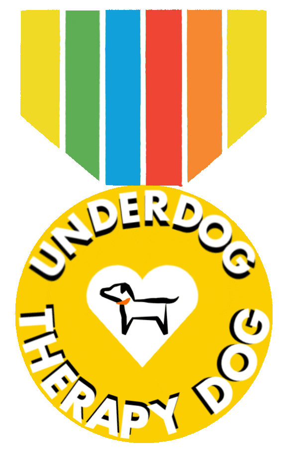 UnderdogInternational dog rainbow puppy dogs Sticker