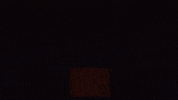 AngeloRules fun fail fake drole GIF