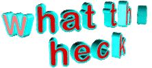 What The Heck Sticker by GIPHY Text