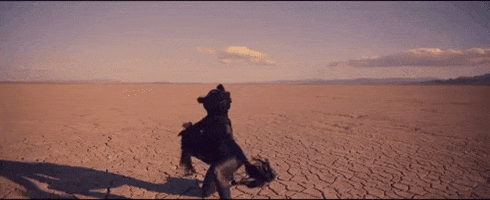 big sean aries GIF by Interscope Records
