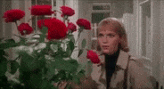 Happy Anniversary Horror GIF by filmeditor