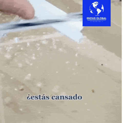 karla1323 giphyupload GIF