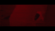 death wanna die GIF by L.I.F.T
