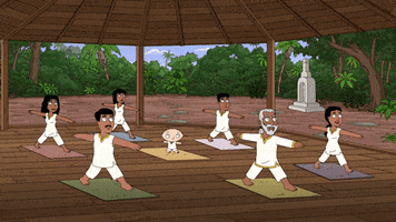 Yoga Retreat GIF by Family Guy