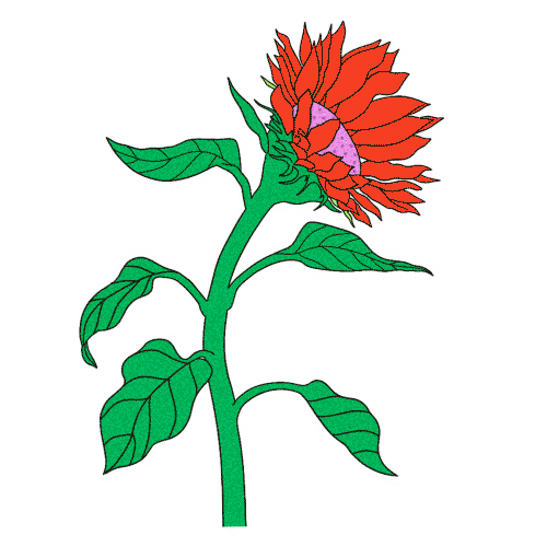 Flower Plants Sticker by Manon Louart